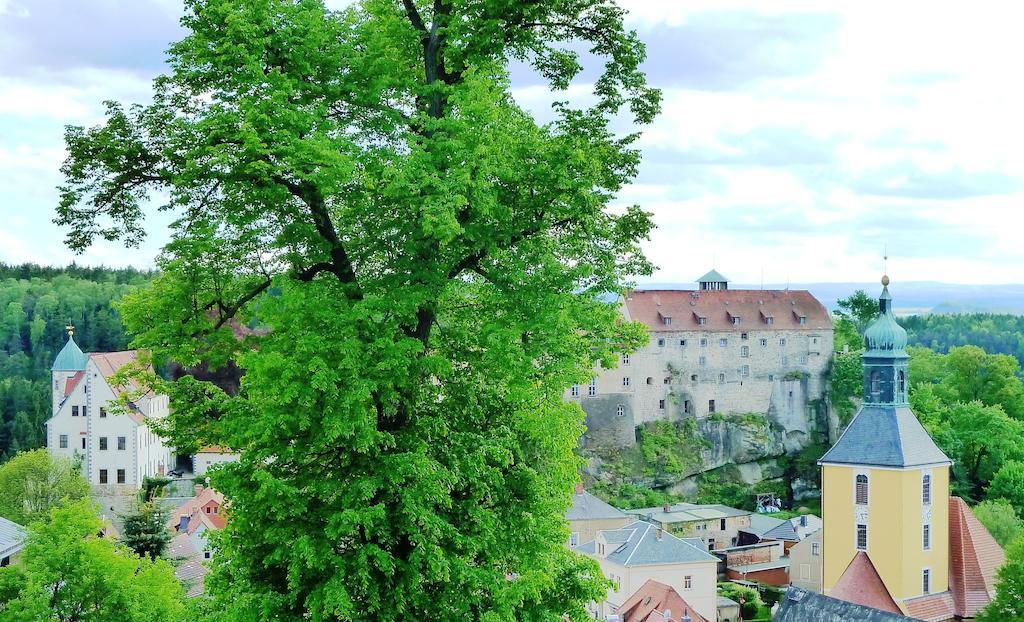 Mb Hotel Weisser Hirsch Хонщайн Екстериор снимка