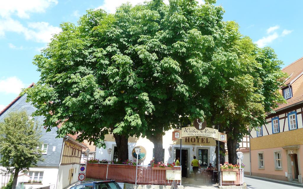 Mb Hotel Weisser Hirsch Хонщайн Екстериор снимка